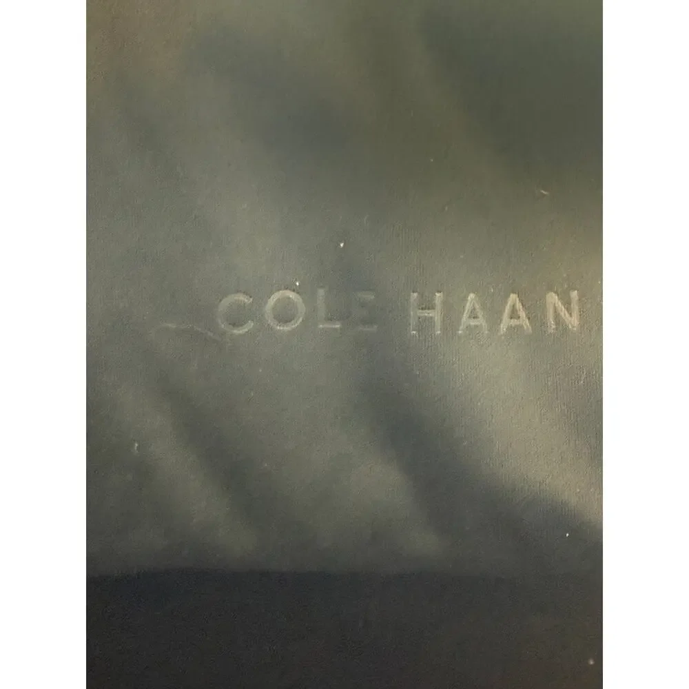 Cole Haan Women's Sunglasses CH9030 BROWN GRADIENT NEW